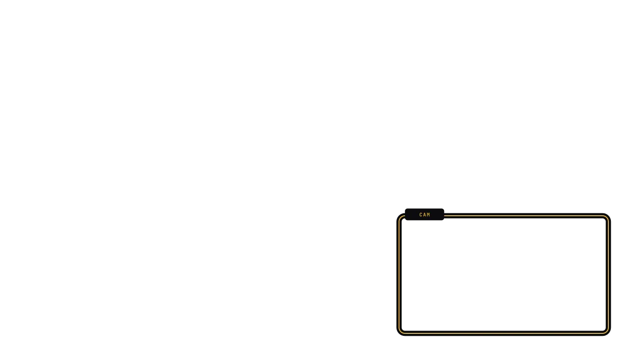 Webcam frame, Panel